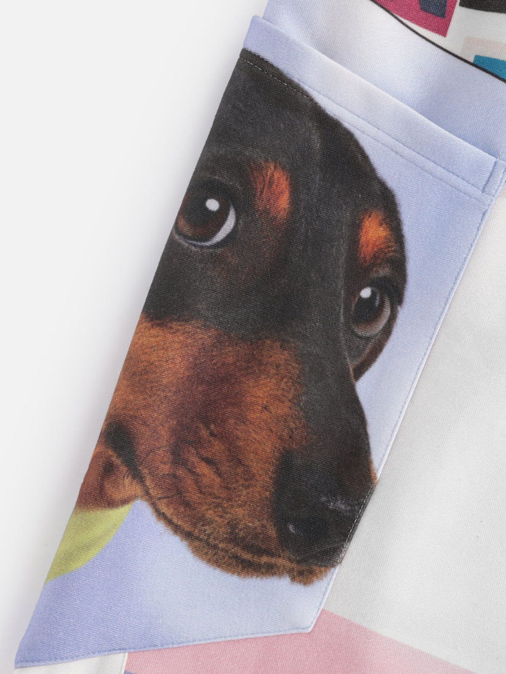 Aelfric Eden Dachshund Collage Double Waist Baggy Sweatpants